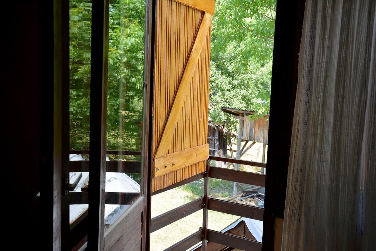 Danilovica Kuca Appartement Bioska Buitenkant foto