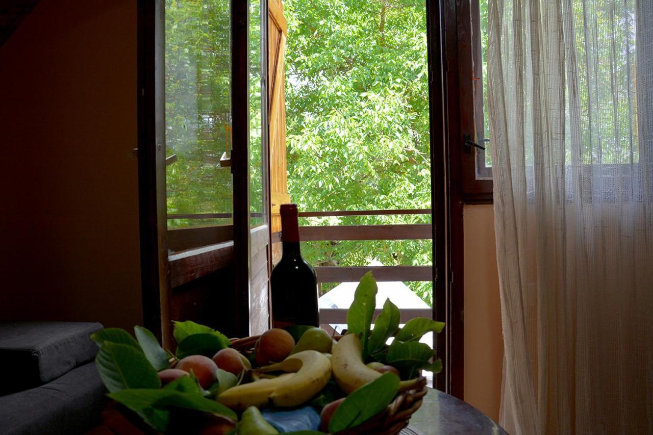 Danilovica Kuca Appartement Bioska Buitenkant foto